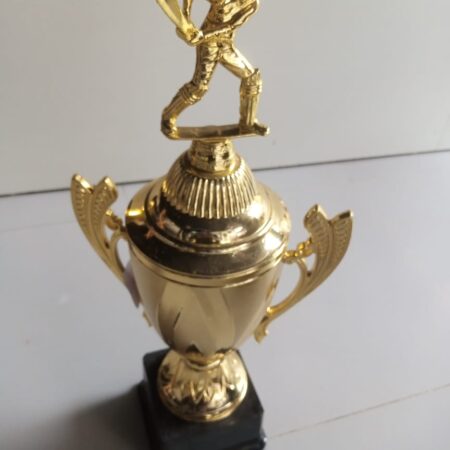 Cricket  Big AB Trophy 007