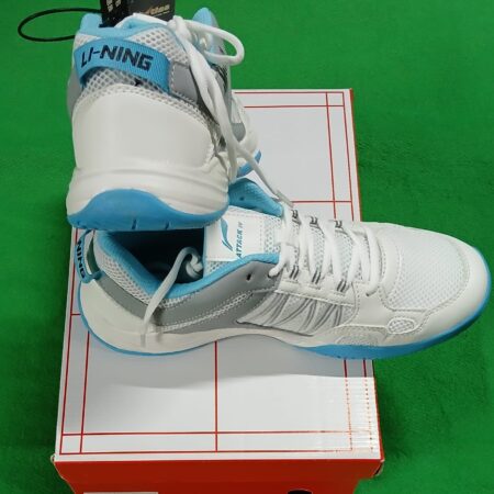 Lining Badminton Shoes